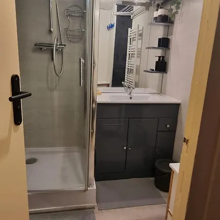 Appartement Oscar Et Petrus Au Lioran à Laveissière Extérieur photo